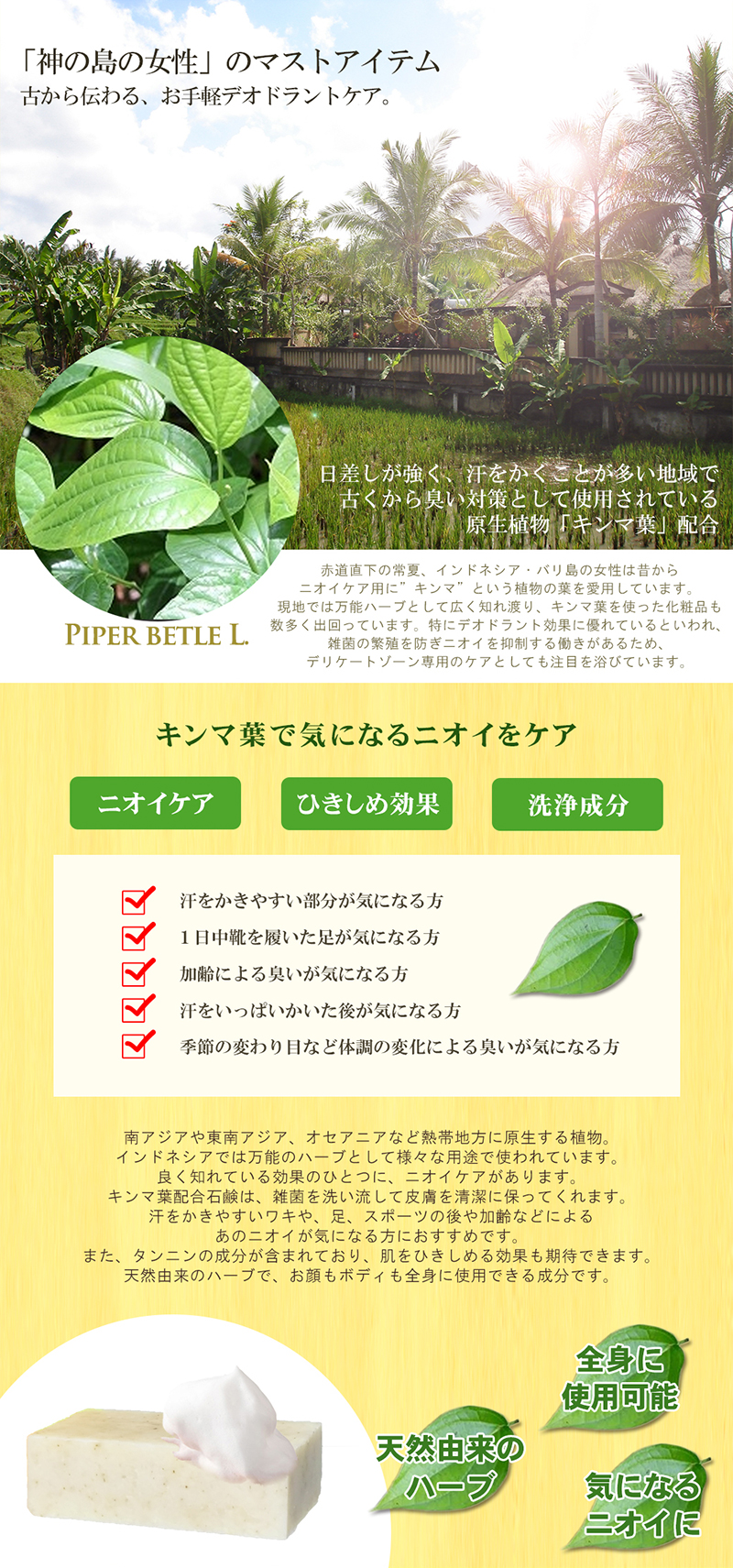 キンマ葉で気になるニオイをケア