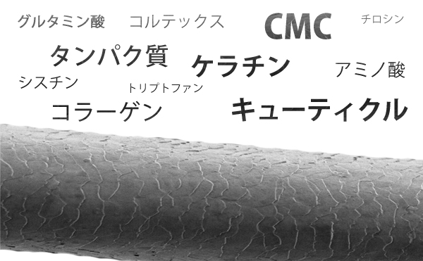 株式会社ハホニコ