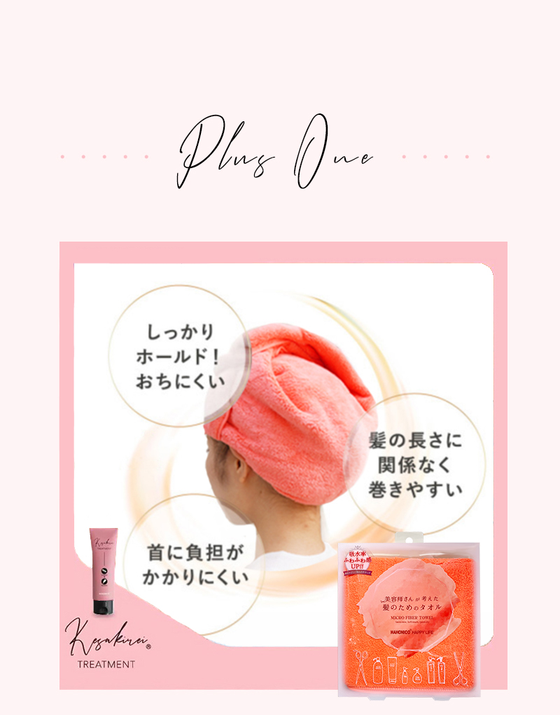 ケサキレイHowTo08
