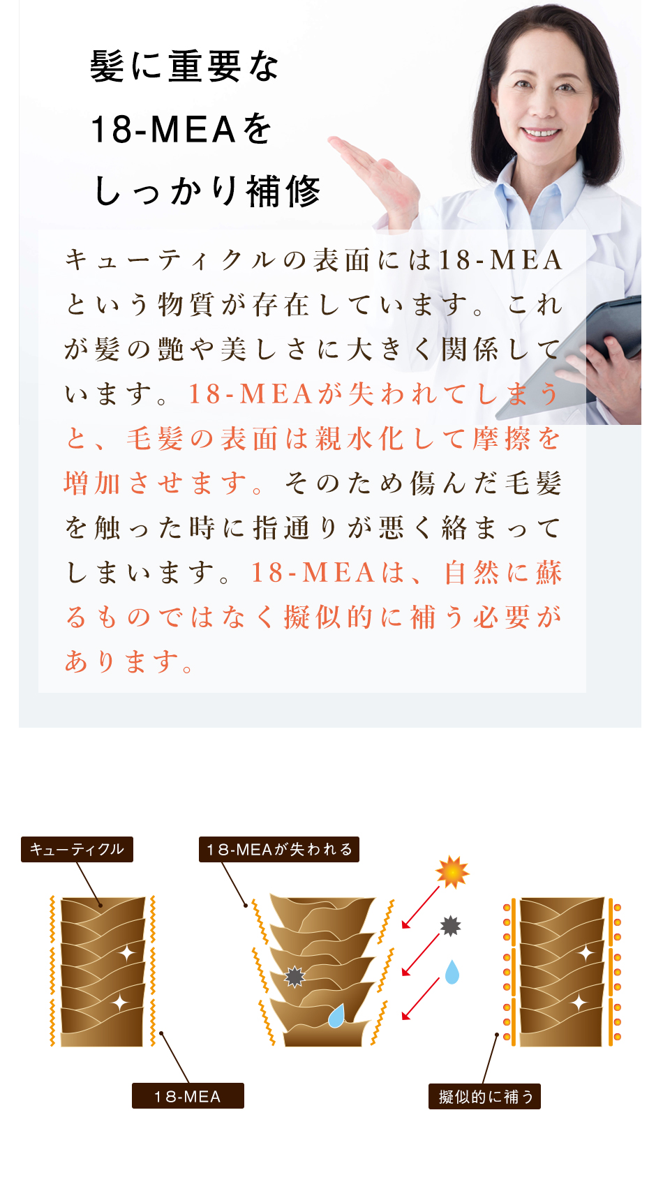 ハホニココラシルクオイル