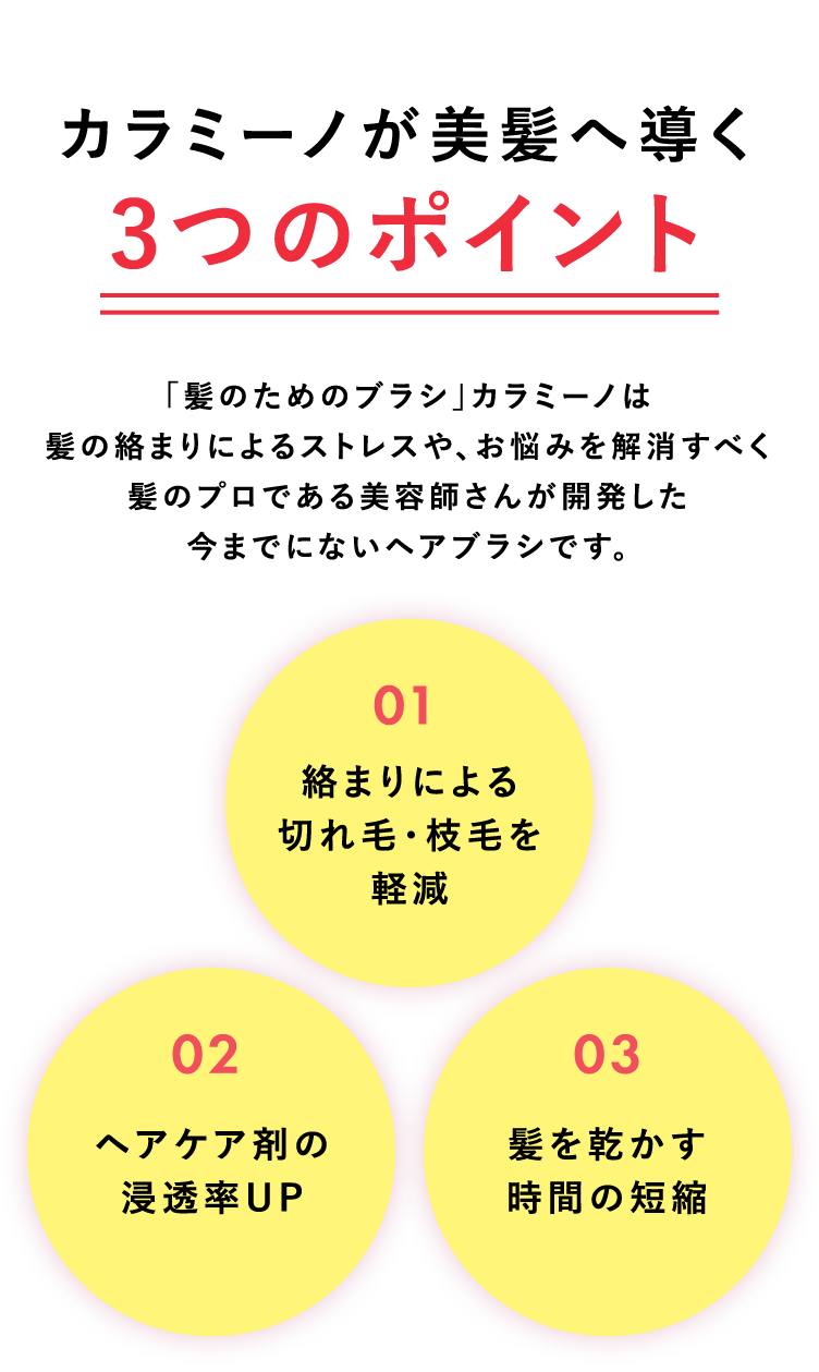 カラミーノが美髪へ導く3つのポイント