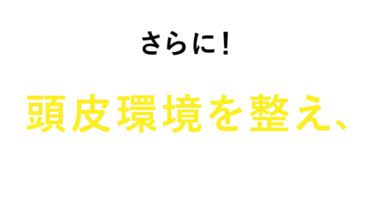 さらに！頭皮環境を整え、もっと美髪に！