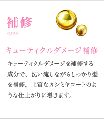 補修