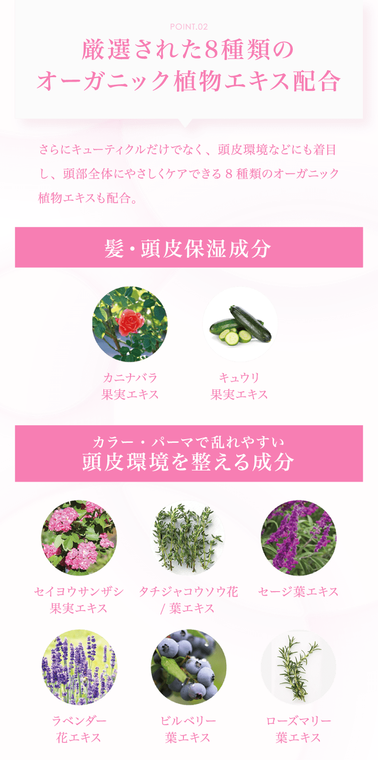 選ばれる理由は4つの特長がポイント!