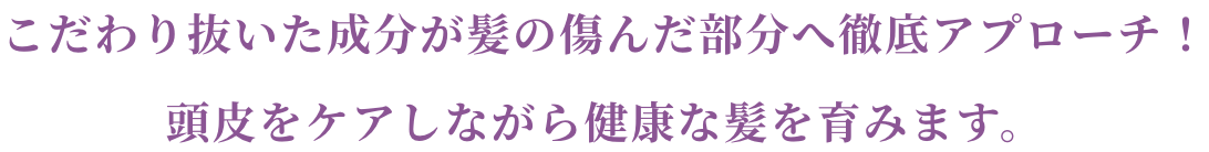 コラシルク18シリーズはとことん髪の「補修」にこだわる。